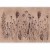 Fototapeta - Polne kwiaty - czarne rośliny na tle w technice lime wash