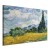 Obraz - Vincent Van Gogh – Pole pszenicy z cyprysami