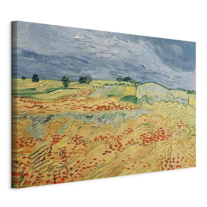 Obraz - Vincent van Gogh – Pola z kwitnącymi makami