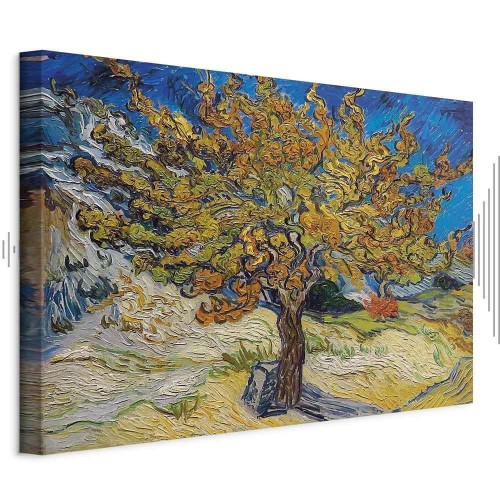 Obraz - Vincent van Gogh – Drzewo morwowe