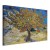 Obraz - Vincent van Gogh – Drzewo morwowe