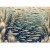 Fototapeta - Oceaniczna przyroda