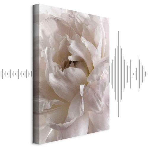 Obraz - Puszyste roztargnienie (1-częściowy) pionowy