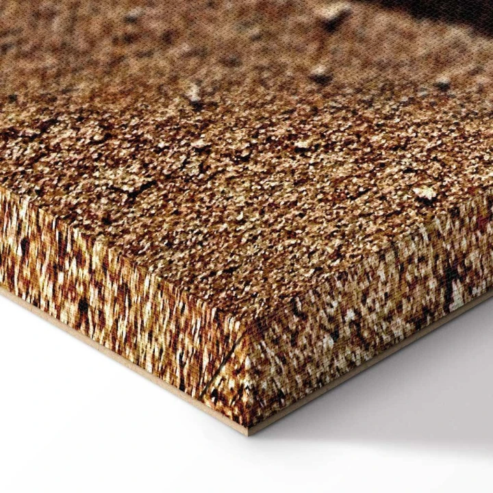 Obraz - Pióro na piasku (1-częściowy) pionowy