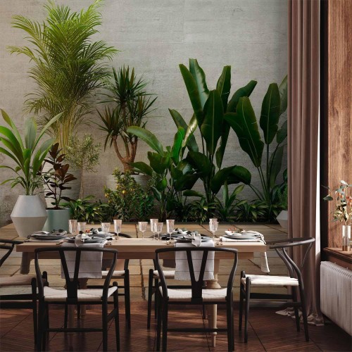 Fototapeta - Domowy ogród