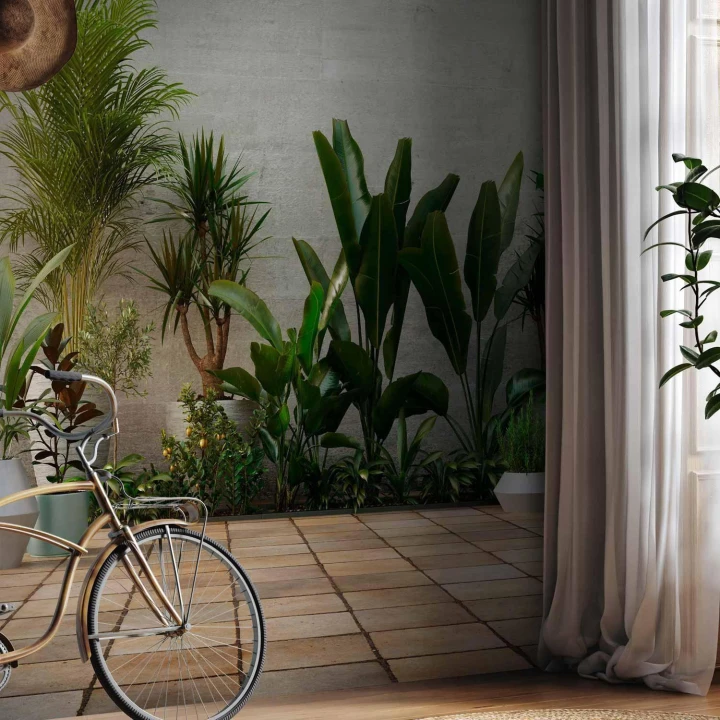 Fototapeta - Domowy ogród