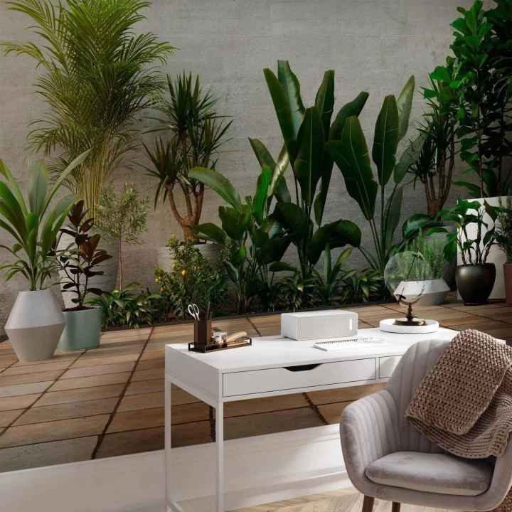 Fototapeta - Domowy ogród