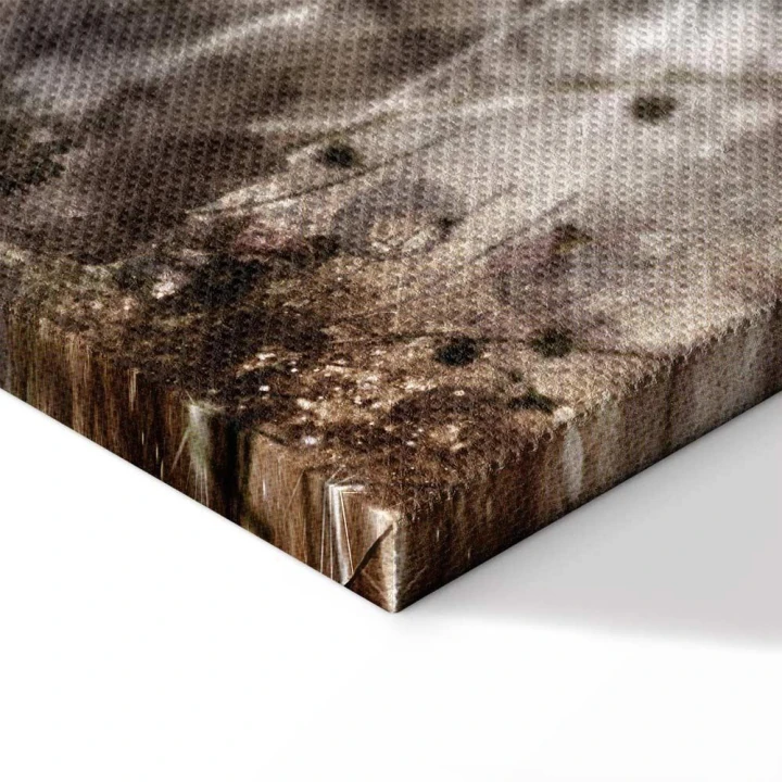 Obraz - Anemony w sepii (1-częściowy) szeroki