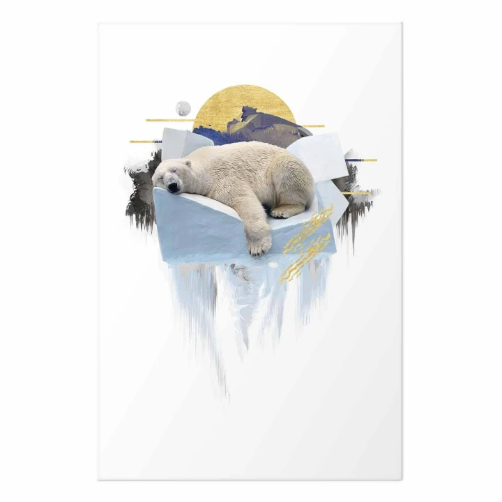 Plakat - Niedźwiedź polarny