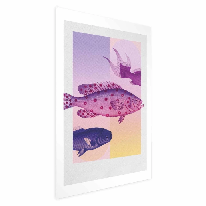 Plakat - Fantazyjne Ryby - artystyczna ilustracja ryb na kolorowym tle