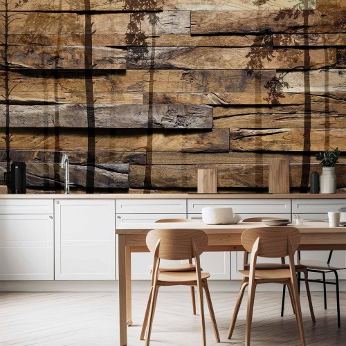 Fototapeta - Cień drzew