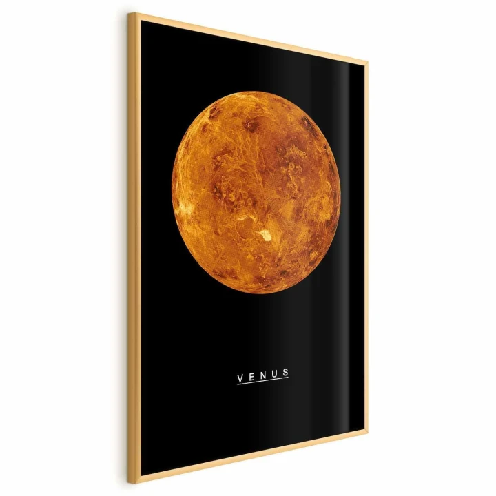 Plakat - Wenus