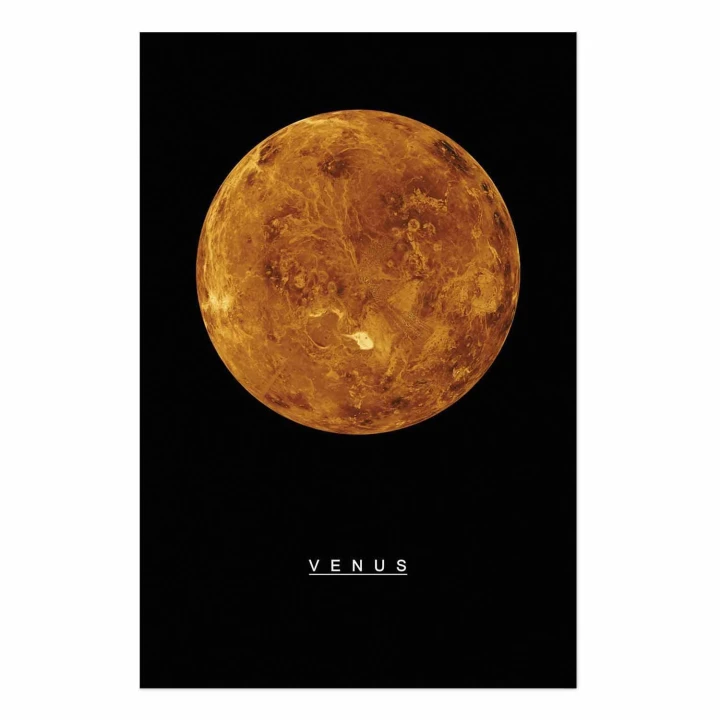 Plakat - Wenus