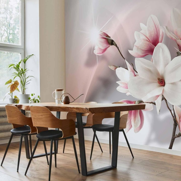 Fototapeta - Białe magnolie