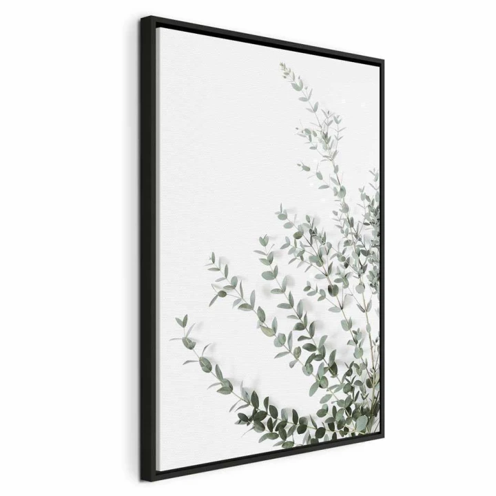 Obraz - Eukaliptus Parvifolia (1-częściowy) pionowy