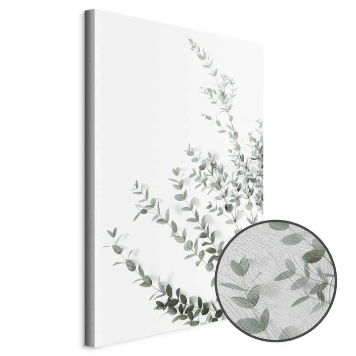 Obraz - Eukaliptus Parvifolia (1-częściowy) pionowy