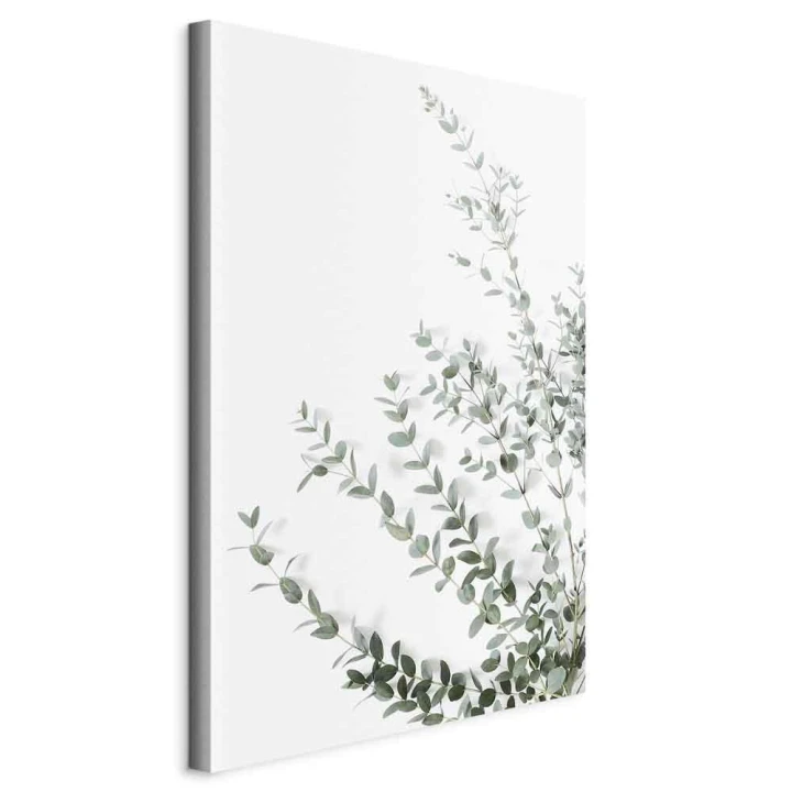 Obraz - Eukaliptus Parvifolia (1-częściowy) pionowy