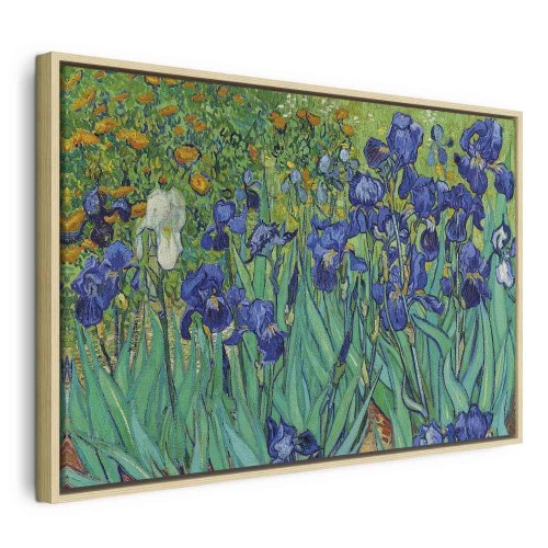 Obraz - Vincent van Gogh – Irysy