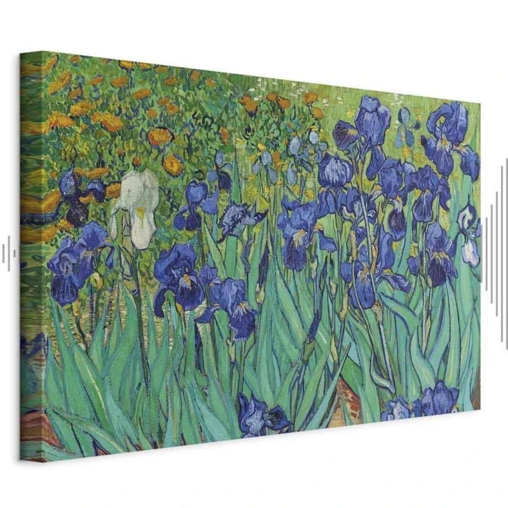 Obraz - Vincent van Gogh – Irysy