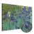 Obraz - Vincent van Gogh – Irysy