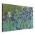 Obraz - Vincent van Gogh – Irysy