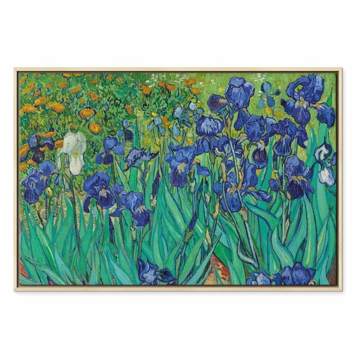 Obraz - Vincent van Gogh – Irysy