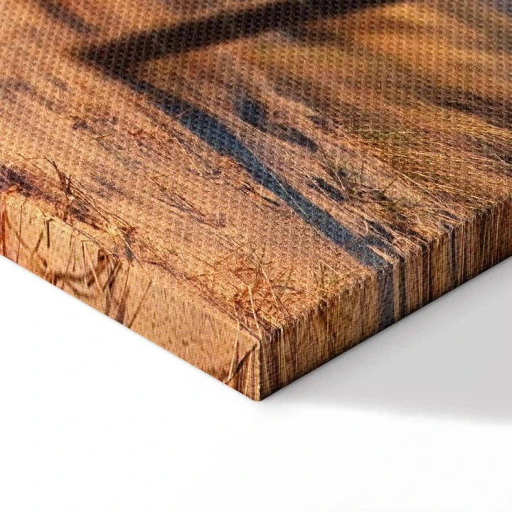 Obraz - Ścieżka zachodzącego słońca