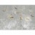 Fototapeta - Ulotne chwile