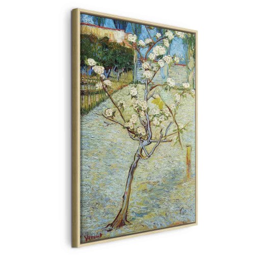 Obraz - Vincent van Gogh – Kwitnąca grusza