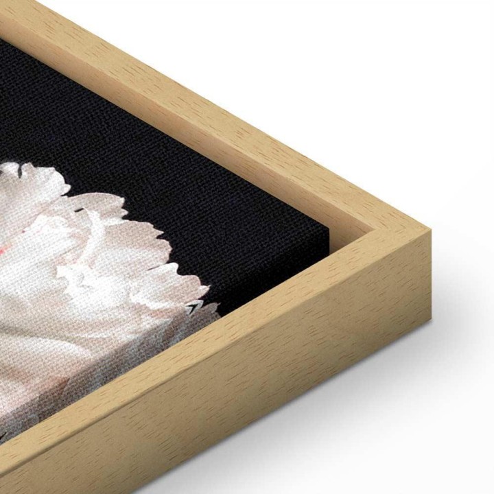 Obraz - Czar piwonii (1-częściowy) - kolorowy bukiet kwiatów na czarnym tle