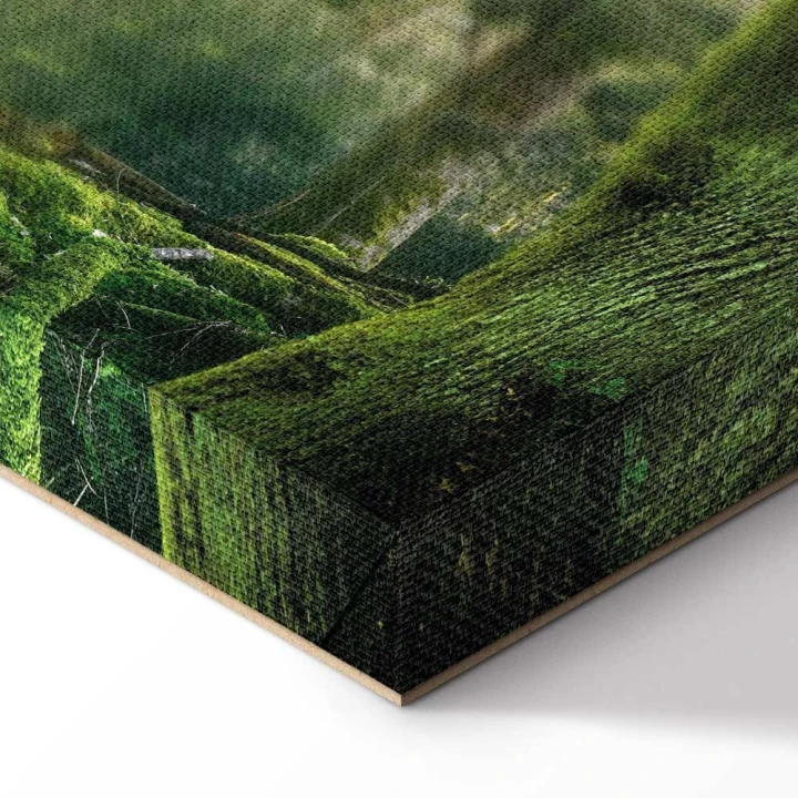 Obraz - Piękno lasu