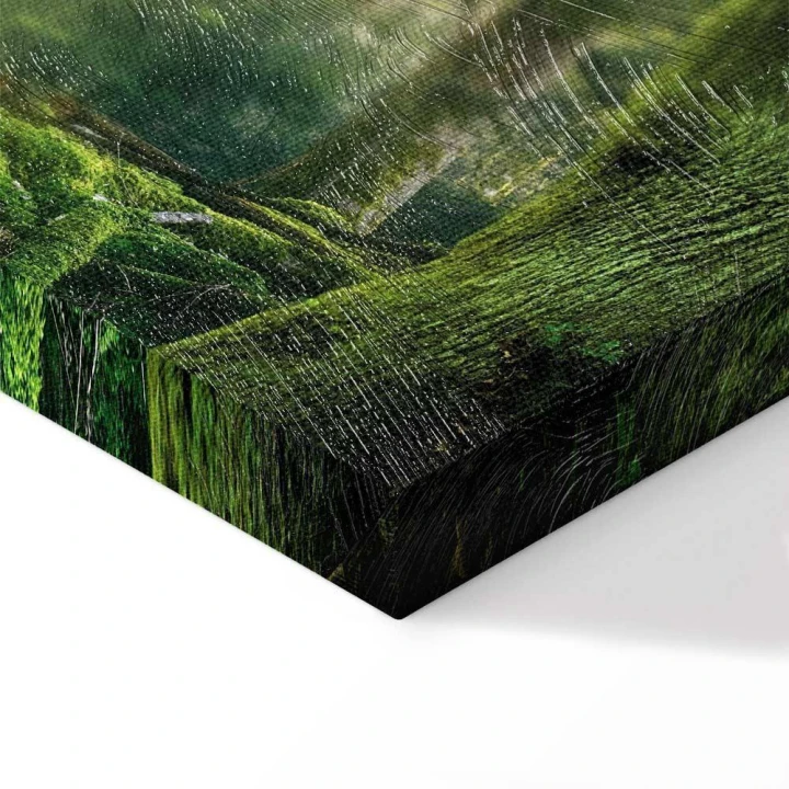 Obraz - Piękno lasu