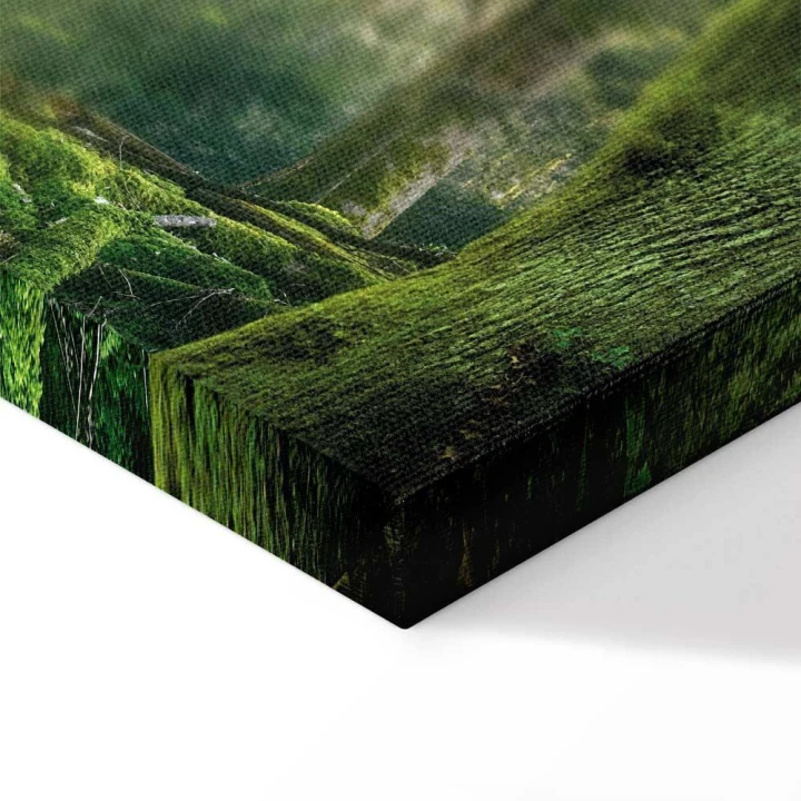 Obraz - Piękno lasu