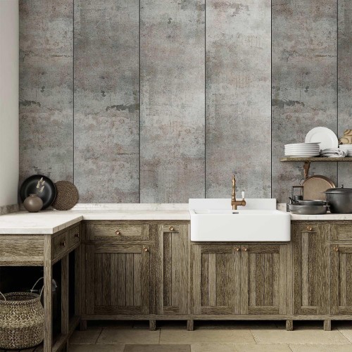 Tapeta - Szary gołąb