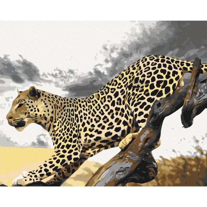Obraz do samodzielnego malowania - Gepard