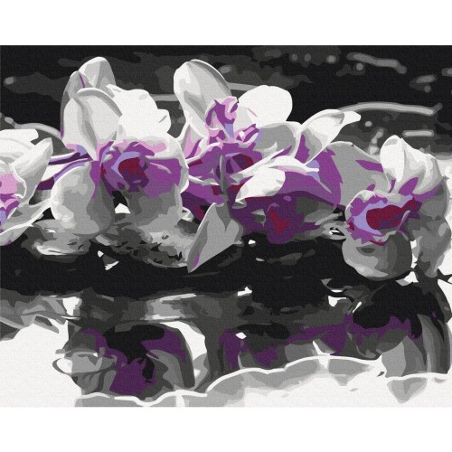 Obraz do samodzielnego malowania - Fioletowa orchidea (czarne tło i odbicie w wodzie)